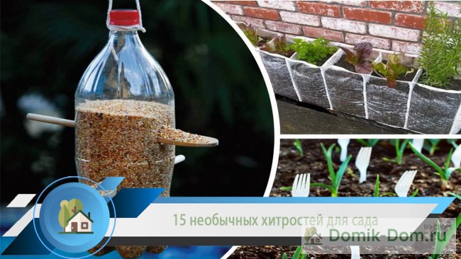 15 необычных хитростей для сада