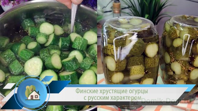 Финские хрустящие огурцы с русским характером