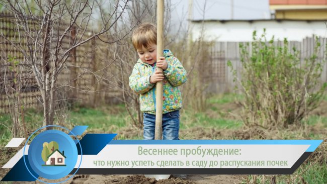 Март в саду: Полный календарь обязательных работ для богатого урожая
